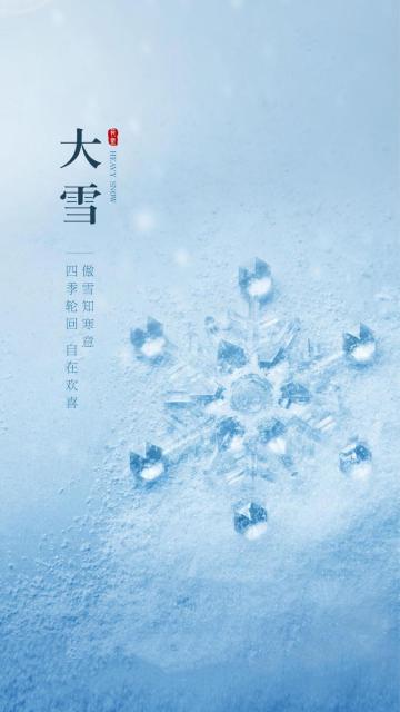 大雪时节的唯美雪花