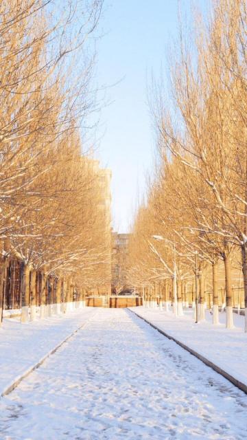 沿路上的唯美自然雪景