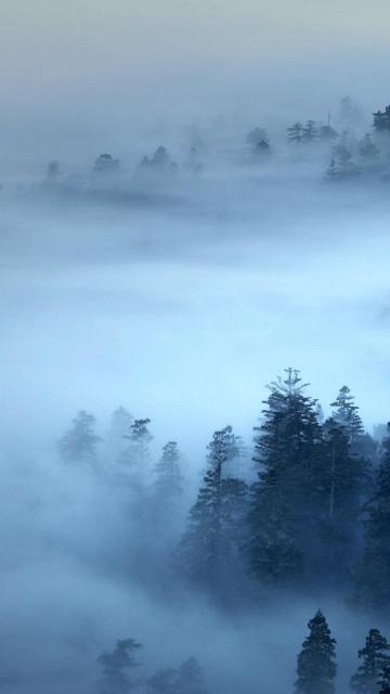 一层层云烟下的风景