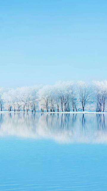 蓝天下唯美的雪景意境