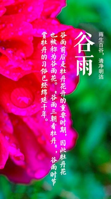 小清新谷雨时节到来