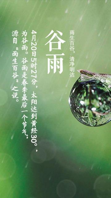 小清新谷雨时节来到