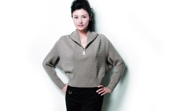 最美丽港姐-李嘉欣