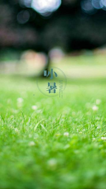 夏日炎炎二十四节气之小暑
