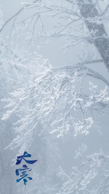 大寒时节唯美冬天雪景风光