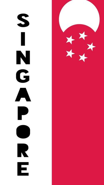 2020东京奥运会新加坡国旗
