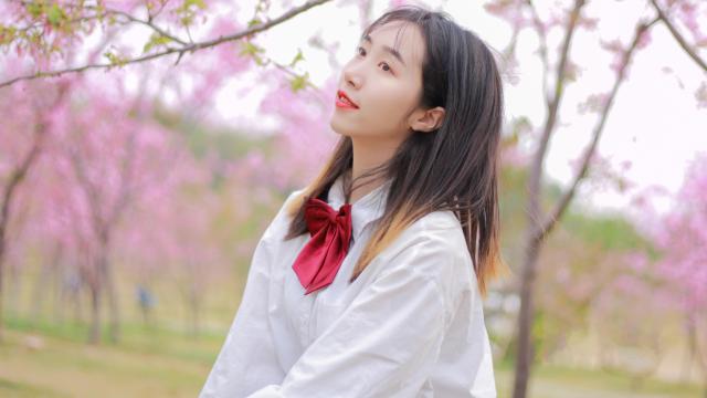 烂漫樱花下的美女