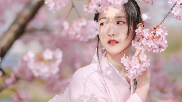浪漫樱花季下的美女