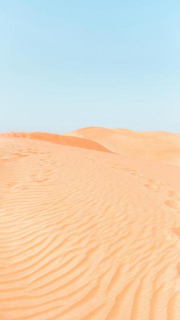 荒凉的沙漠风光