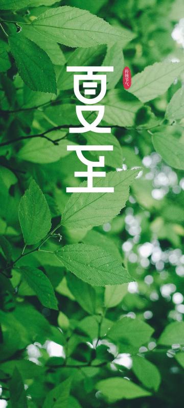传统节气夏至清新锁屏