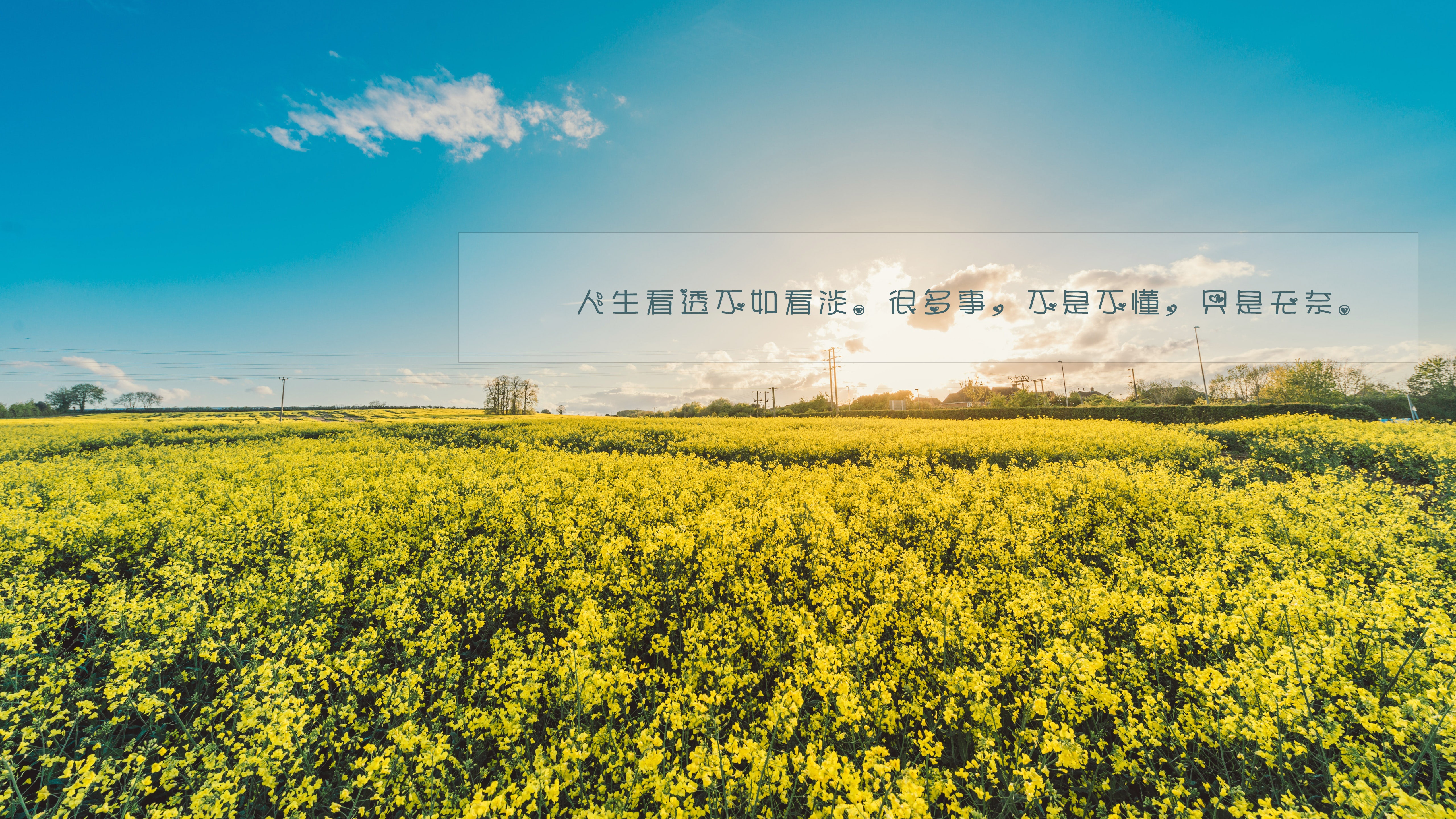 对生活无奈很现实的说说图片