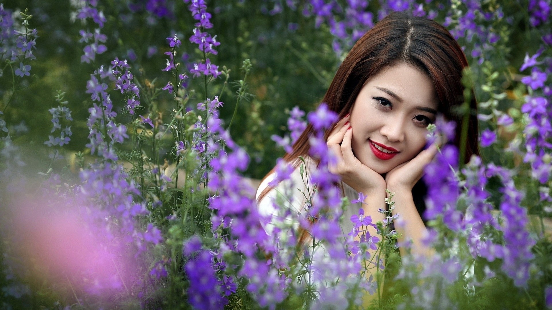 一花一世界