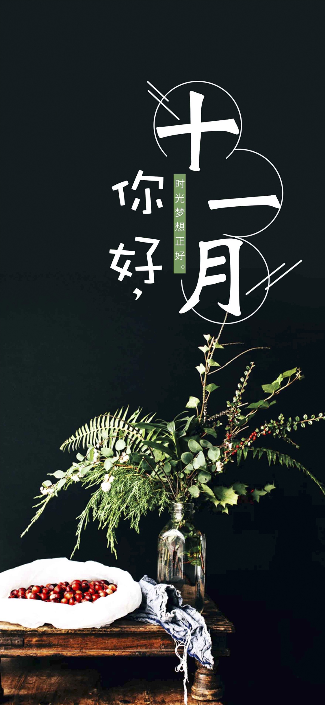 十一月你好,时光梦想正好