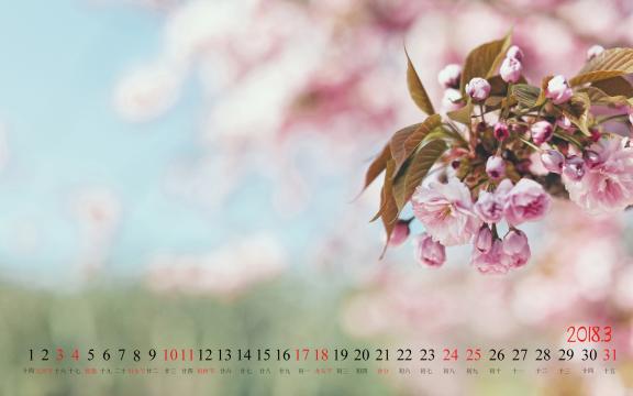 2018年3月桃花日历