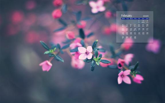 2019年2月朦胧唯美的焦外散景日历