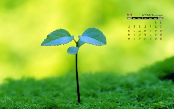 2019年3月小清新护眼绿色嫩芽日历