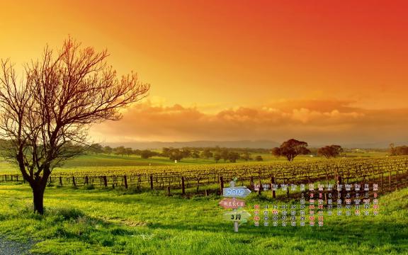2019年3月美丽的大自然风景日历
