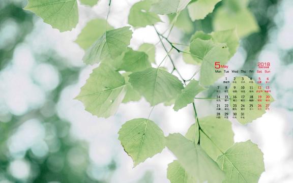 2018年5月小清新护眼绿色植物日历
