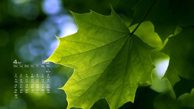 2018年4月绿色植物清新护眼日历