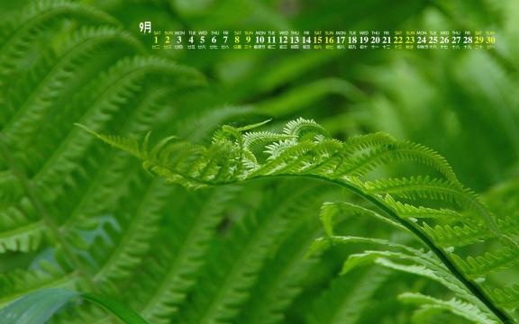 2018年9月护眼绿植小清新日历