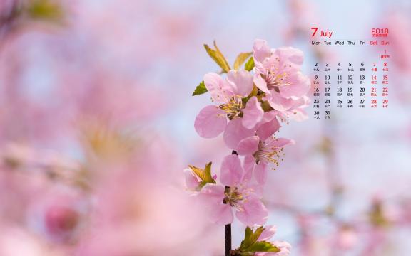 2018年7月小清新唯美桃花图片日历