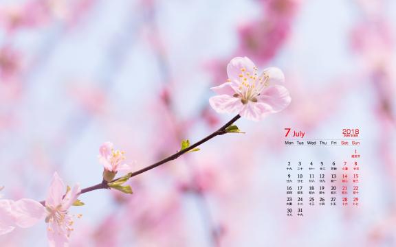 2018年7月小清新唯美桃花图片日历