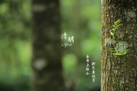 清明节缅怀伤感诗歌文字图片
