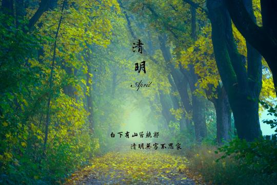 清明节缅怀伤感诗歌文字图片