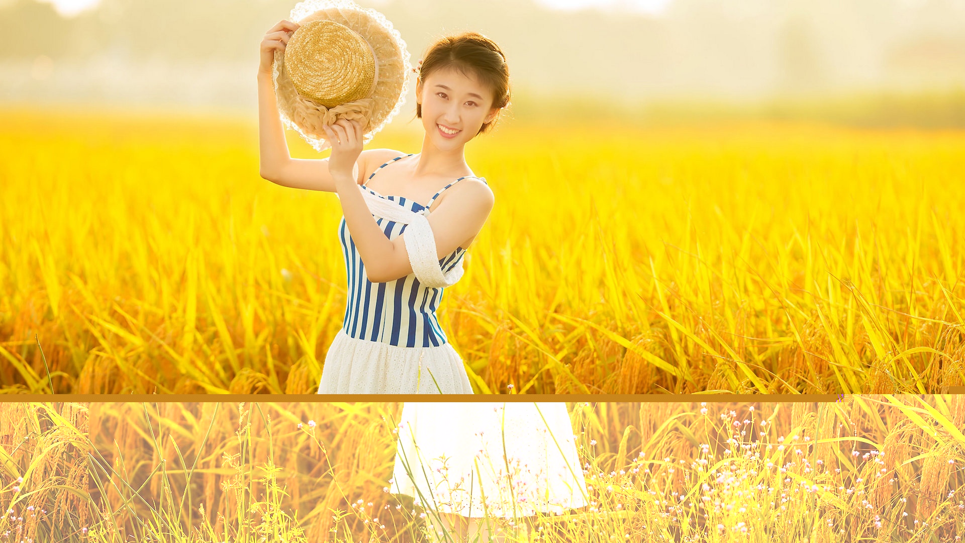 黄色暖色调美女田野写真