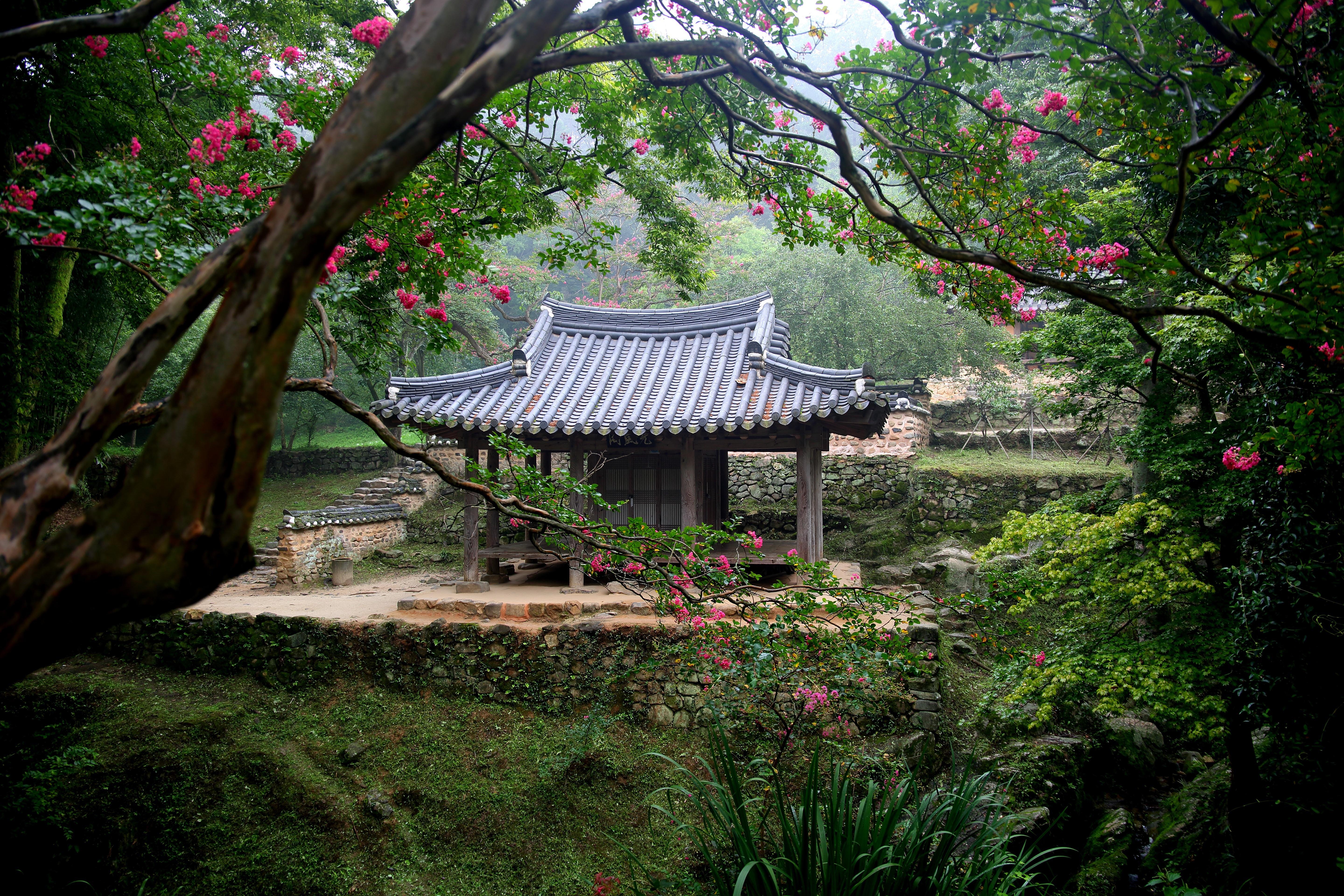 寻一处纳凉,守一份静心