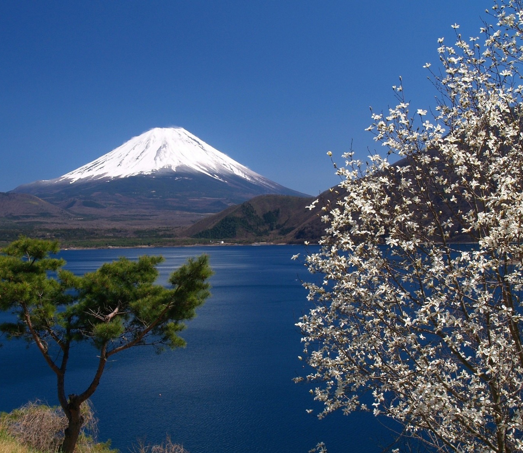 富士山的雪