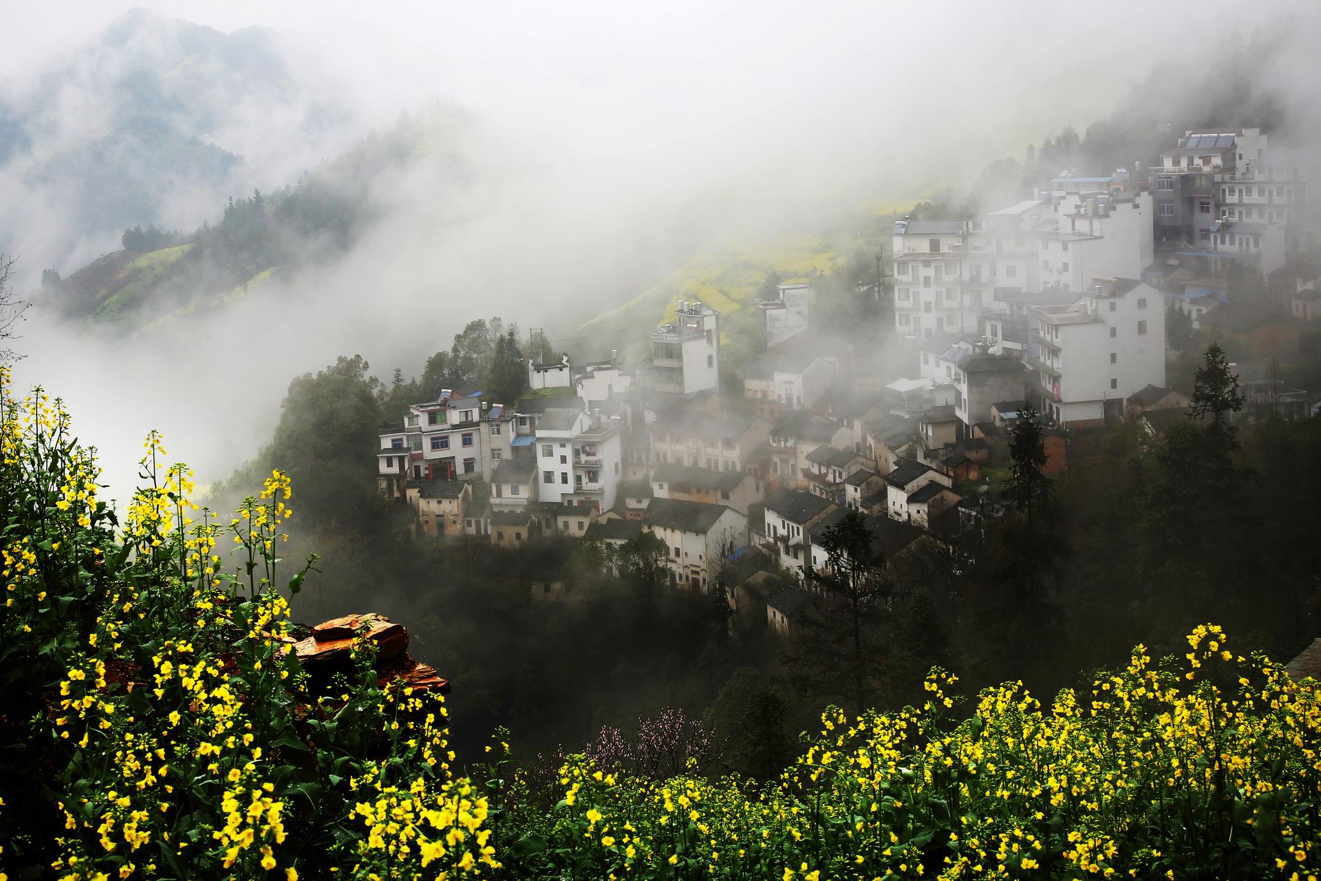 安徽石潭油菜花风景