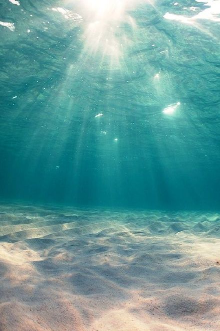 海底的光