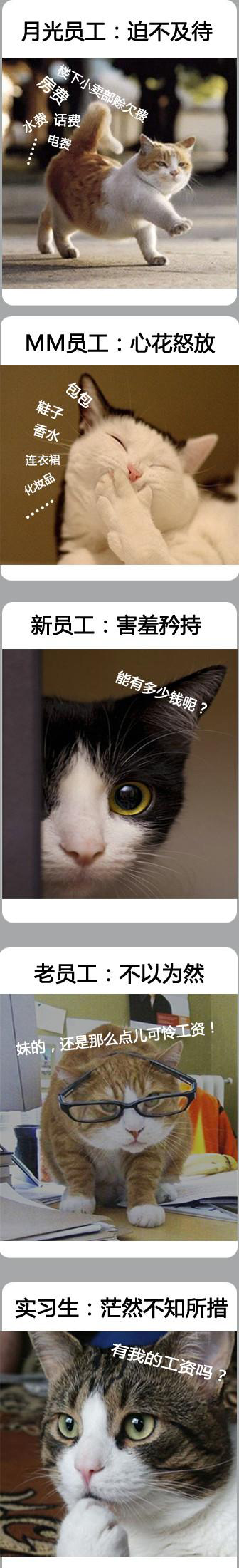 职场人员工资观