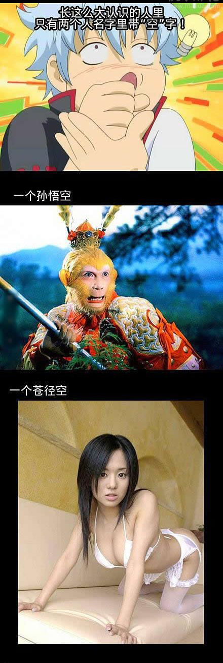 一个是童年的梦想,一个是成年的幻想