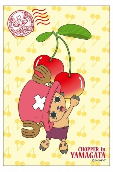 乔巴和樱桃