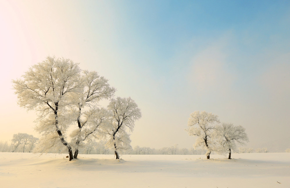 雪世界
