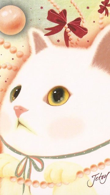 小白萌猫