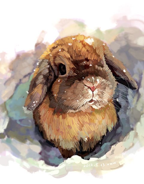 小耳兔
