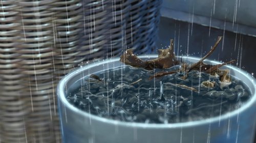 雨季的水缸