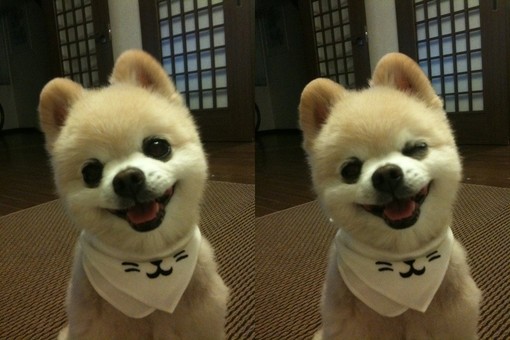 瞬间眨眼