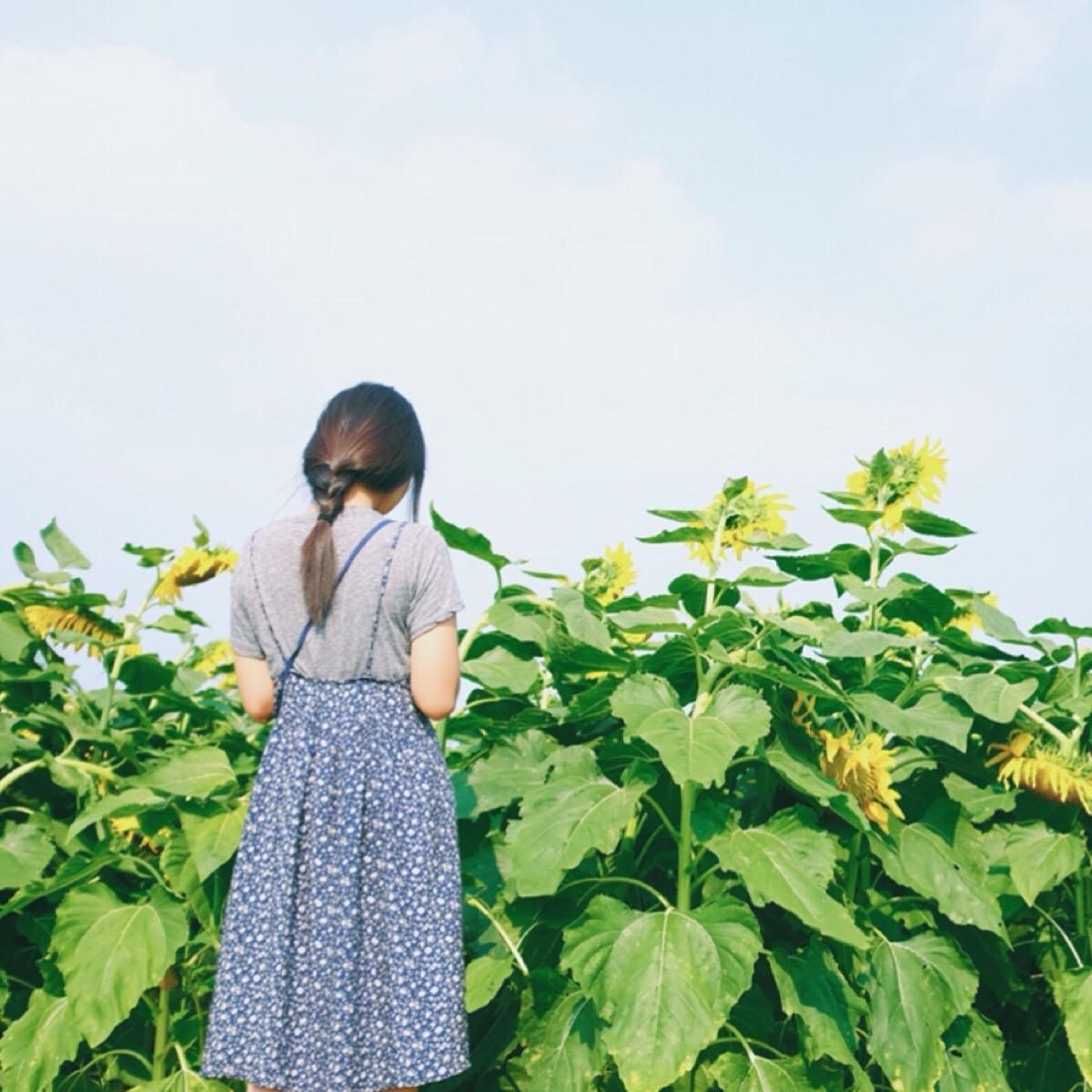 面向花海女生头像