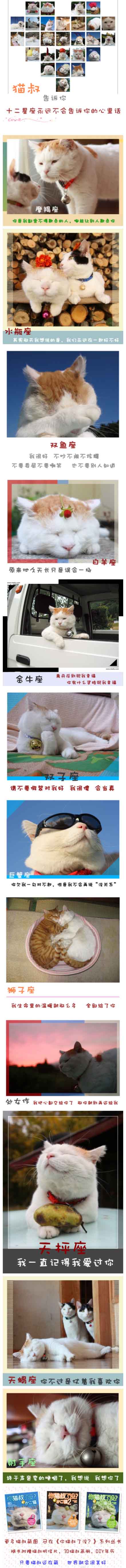 猫叔十二星座