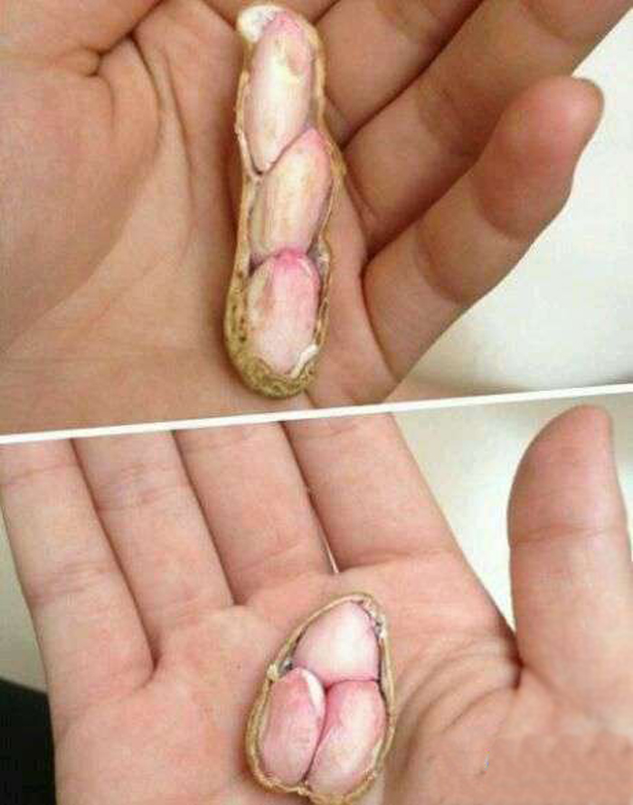 住房的对照