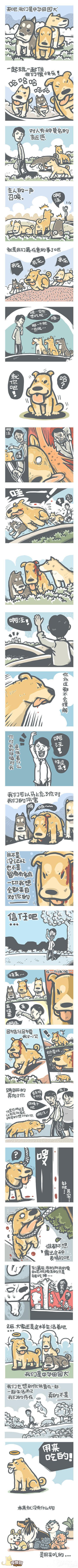 他们需要的不多