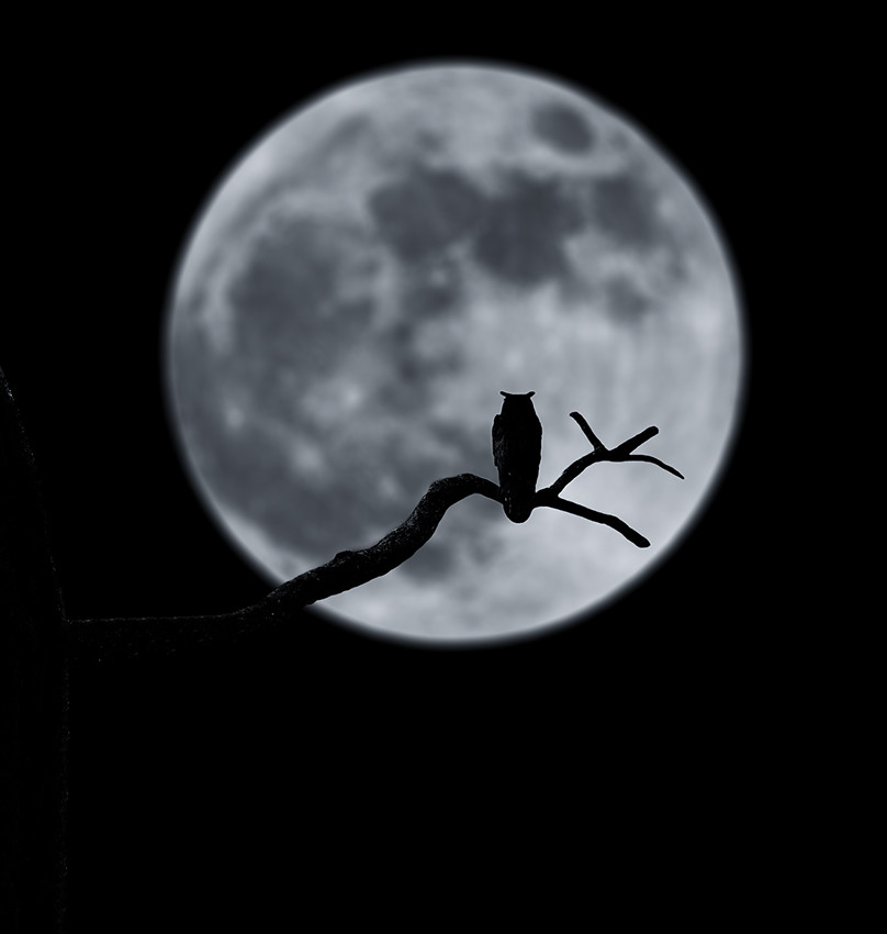 月夜