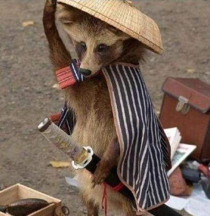 我要去那江湖