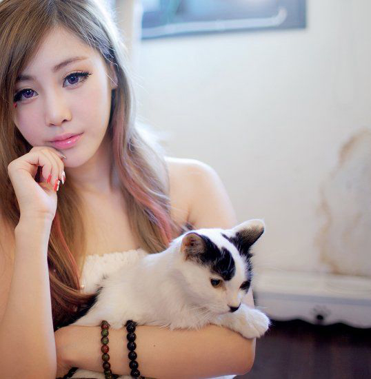 美女与猫咪