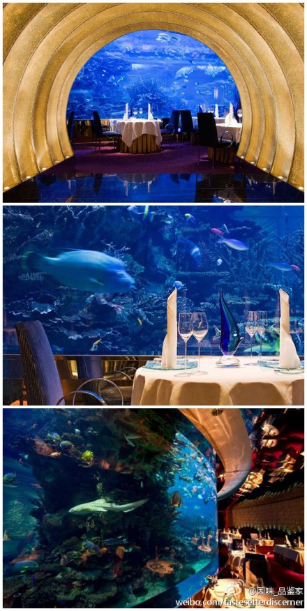 顶级海底餐厅