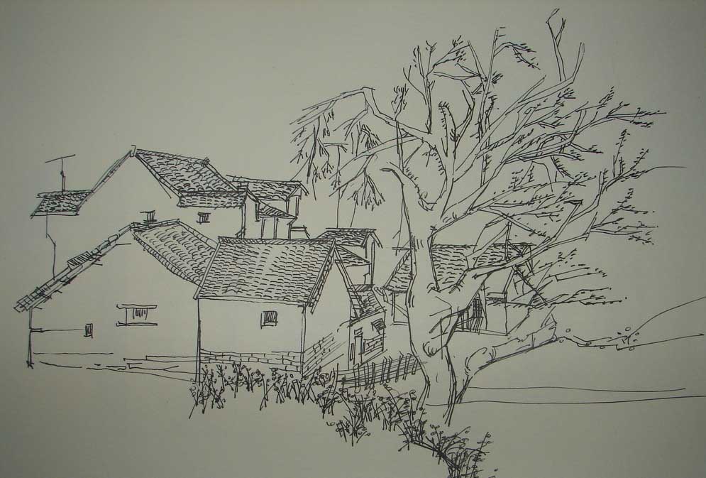 农家小院